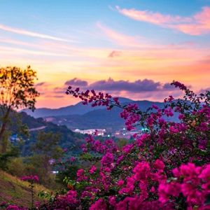 Meet your Posher, Bailee